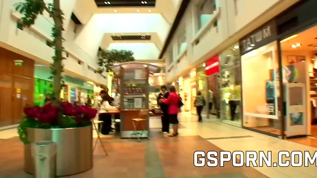 Silvie Delux does a real threesome in a mall toilet