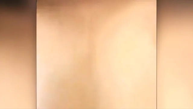 Ebony teen rides a big black cock until a cumshot finishes it