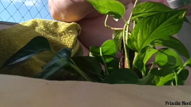 Stepmother waters the plants without a stitch on, on the balcony in plain view