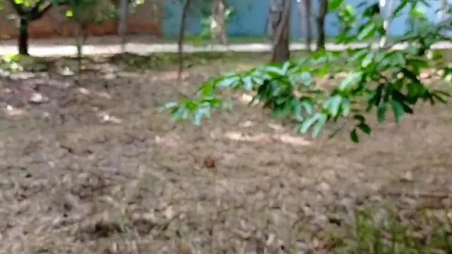 Raquel Exibida sucks off Comedor De Casadas on a road in broad daylight