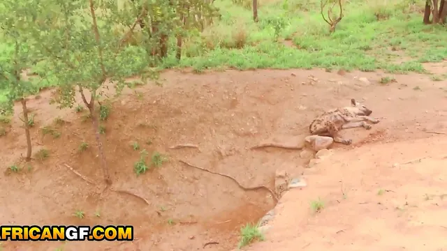 Safari guide Awahle leads Steven Hard away from the rest and asks for it rough