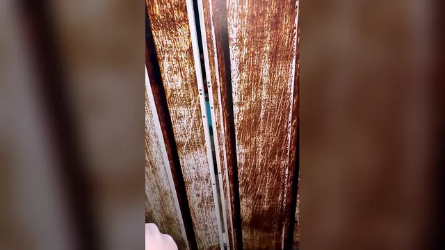 Horny latina with a big ass skips the condom
