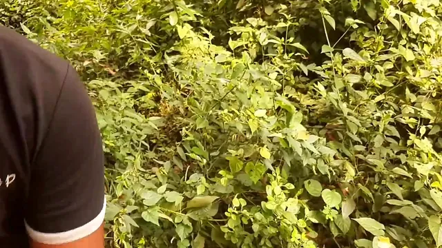 Hairy ebony babe hikes through a Cameroon forest and sucks dick outdoors