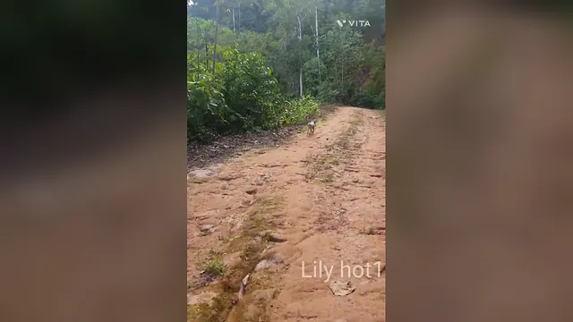 A long hike far along the trail to find water, part one