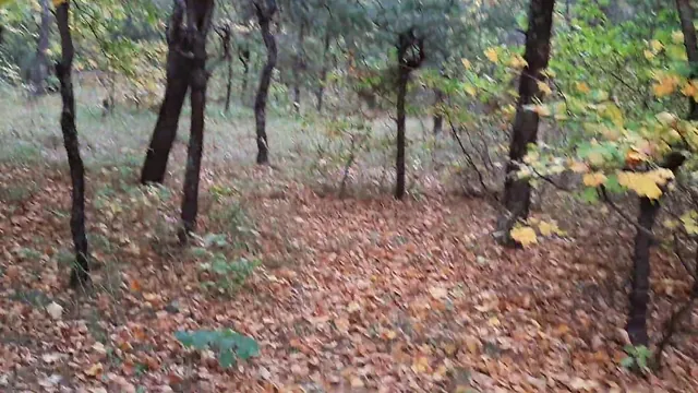 Girlfriend gets mouth fucked and finished off in a dark forest