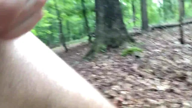 Solo guy flashing and stroking in a park