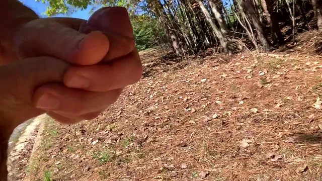 Naked solo exhibitionist outdoors in a public park