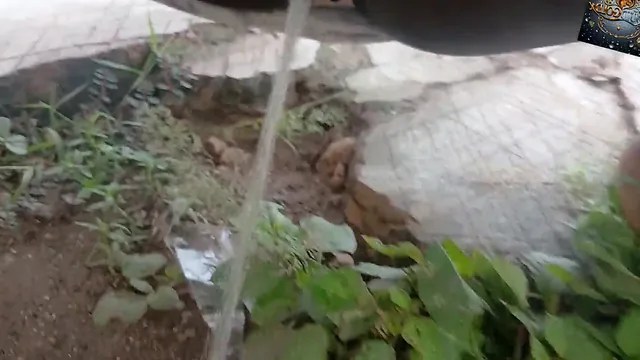 Gloryhole Pees Outdoors Solo, Wet and Hairy